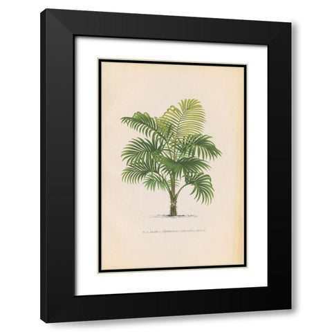 Palmier PL X Black Modern Wood Framed Art Print with Double Matting by Wild Apple Portfolio