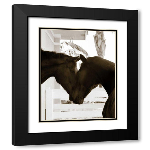 Good Friends Black Modern Wood Framed Art Print with Double Matting by Dratfield, Jim
