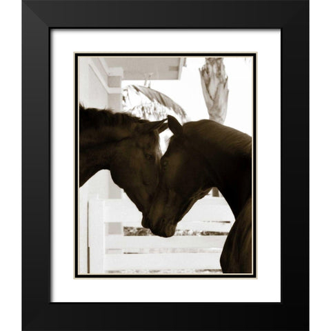 Good Friends Black Modern Wood Framed Art Print with Double Matting by Dratfield, Jim