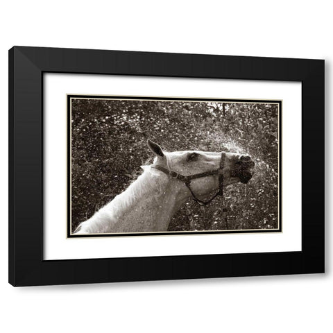 After a Shower Black Modern Wood Framed Art Print with Double Matting by Dratfield, Jim