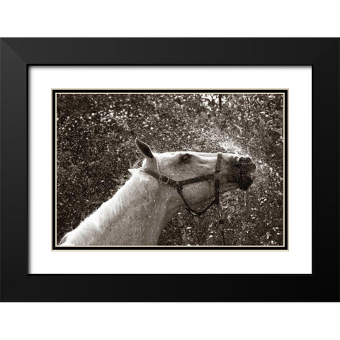After a Shower Black Modern Wood Framed Art Print with Double Matting by Dratfield, Jim