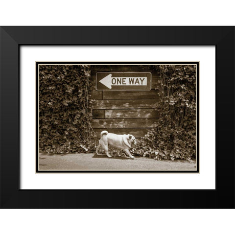 Which Way Black Modern Wood Framed Art Print with Double Matting by Dratfield, Jim