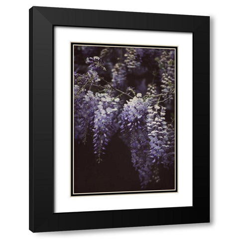 Wisteria Cascade II Black Modern Wood Framed Art Print with Double Matting by Urquhart, Elizabeth