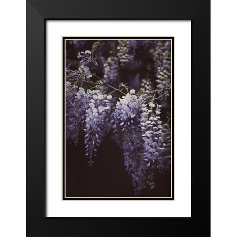 Wisteria Cascade II Black Modern Wood Framed Art Print with Double Matting by Urquhart, Elizabeth
