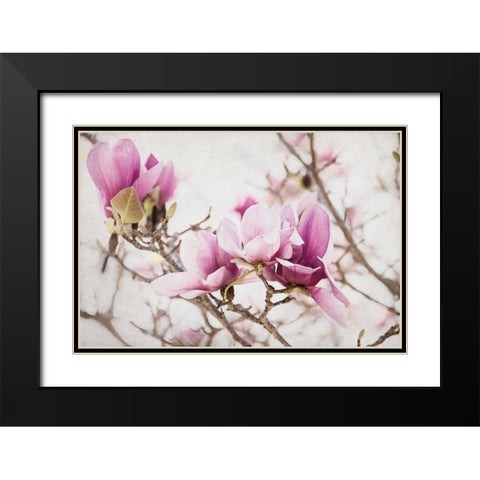 Spring is In the Air III Black Modern Wood Framed Art Print with Double Matting by Urquhart, Elizabeth