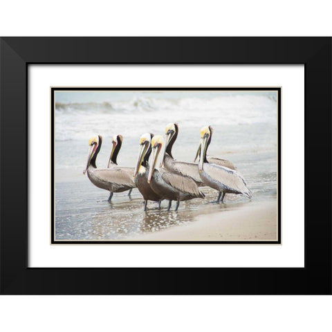 Pacific Cool IV Crop Black Modern Wood Framed Art Print with Double Matting by Urquhart, Elizabeth