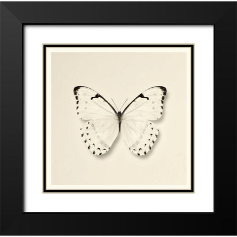 Butterfly II BW Crop Black Modern Wood Framed Art Print with Double Matting by Van Swearingen, Debra