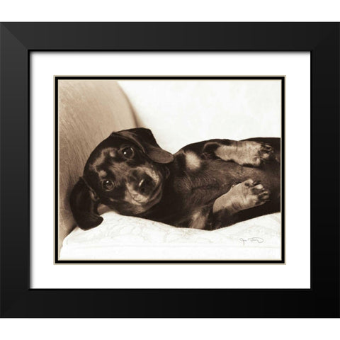 Dachshund Diva Black Modern Wood Framed Art Print with Double Matting by Dratfield, Jim