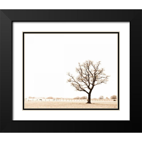 Bleached Bones of Winter Black Modern Wood Framed Art Print with Double Matting by Bevan, Keri