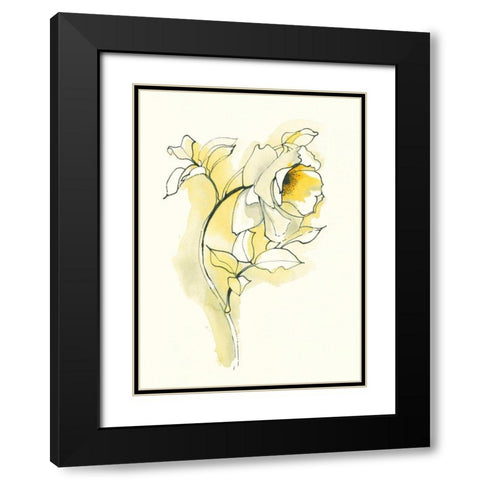 Carols Roses III Black Modern Wood Framed Art Print with Double Matting by Novak, Shirley