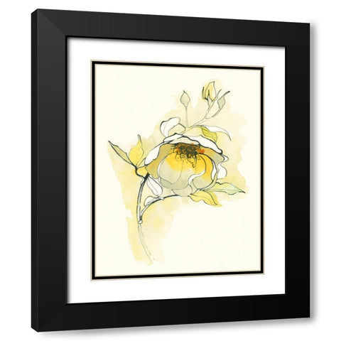 Carols Roses V Black Modern Wood Framed Art Print with Double Matting by Novak, Shirley