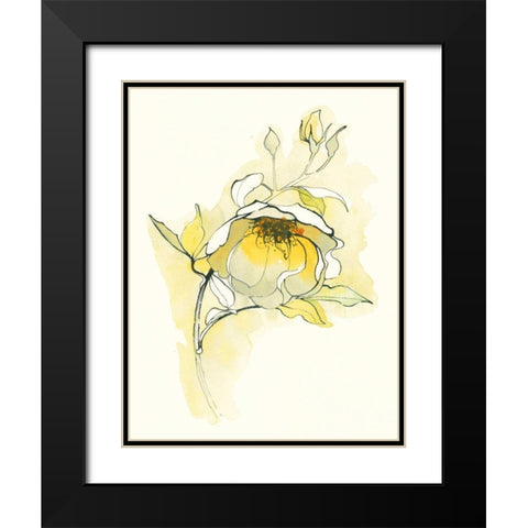 Carols Roses V Black Modern Wood Framed Art Print with Double Matting by Novak, Shirley