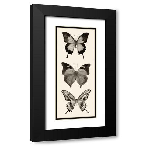 Butterfly BW Panel I Black Modern Wood Framed Art Print with Double Matting by Van Swearingen, Debra