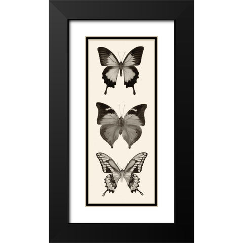 Butterfly BW Panel I Black Modern Wood Framed Art Print with Double Matting by Van Swearingen, Debra