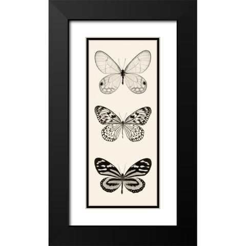 Butterfly BW Panel II Black Modern Wood Framed Art Print with Double Matting by Van Swearingen, Debra