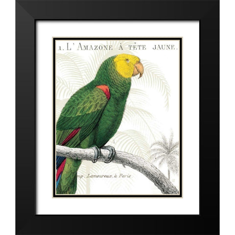 Parrot Botanique I Black Modern Wood Framed Art Print with Double Matting by Wild Apple Portfolio