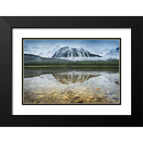 Waterfowl Lake I Black Modern Wood Framed Art Print with Double Matting by Audit, Lisa