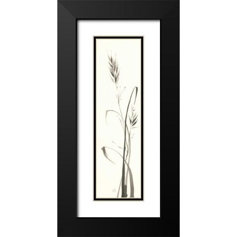 Wild Grass II Black Modern Wood Framed Art Print with Double Matting by Paschke, Chris