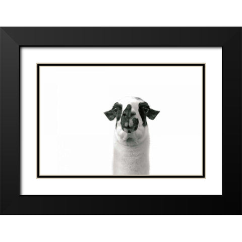 Lovable Llama II Black Modern Wood Framed Art Print with Double Matting by Marshall, Laura