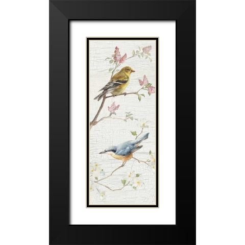 Vintage Birds Panel I Black Modern Wood Framed Art Print with Double Matting by Nai, Danhui