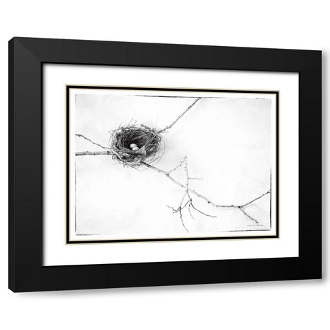 Nest and Branch I v2 Black Modern Wood Framed Art Print with Double Matting by Van Swearingen, Debra