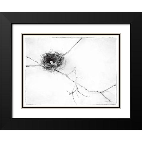 Nest and Branch I v2 Black Modern Wood Framed Art Print with Double Matting by Van Swearingen, Debra