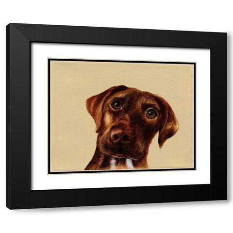 Moose Black Modern Wood Framed Art Print with Double Matting by Ducklow, Patsy