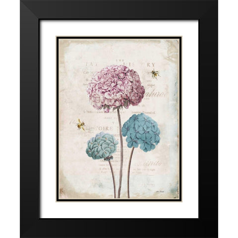 Geranium Study I Pink Flower Black Modern Wood Framed Art Print with Double Matting by Pertiet, Katie