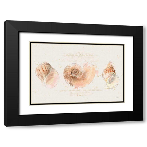 Shell Collector I Black Modern Wood Framed Art Print with Double Matting by Pertiet, Katie