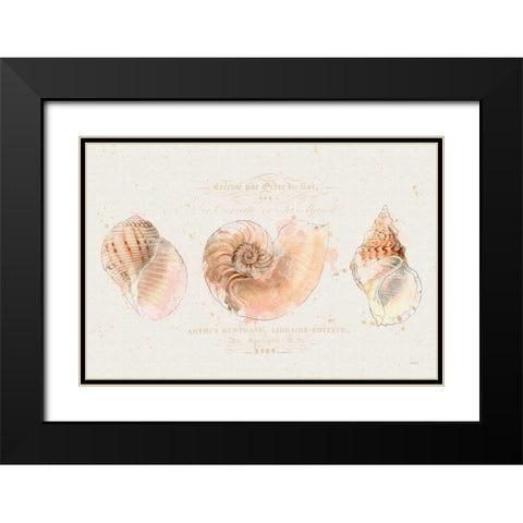 Shell Collector I Black Modern Wood Framed Art Print with Double Matting by Pertiet, Katie