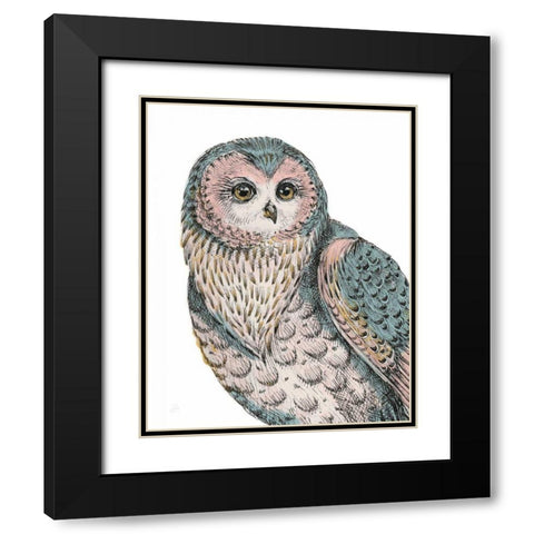 Beautiful Owls IV Pastel Black Modern Wood Framed Art Print with Double Matting by Brissonnet, Daphne