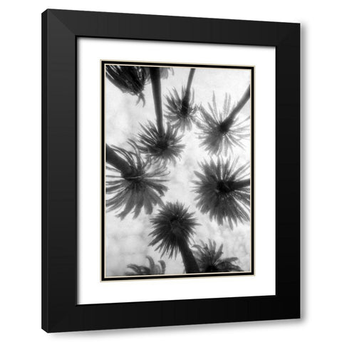 Amongst the Palms Black Modern Wood Framed Art Print with Double Matting by Dratfield, Jim