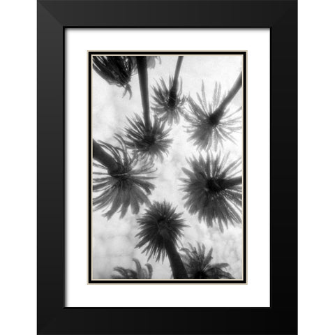 Amongst the Palms Black Modern Wood Framed Art Print with Double Matting by Dratfield, Jim