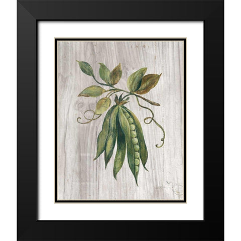 Market Vegetables II Black Modern Wood Framed Art Print with Double Matting by Vassileva, Silvia