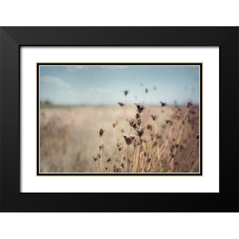 Falling Queen Annes Lace I Crop Black Modern Wood Framed Art Print with Double Matting by Urquhart, Elizabeth
