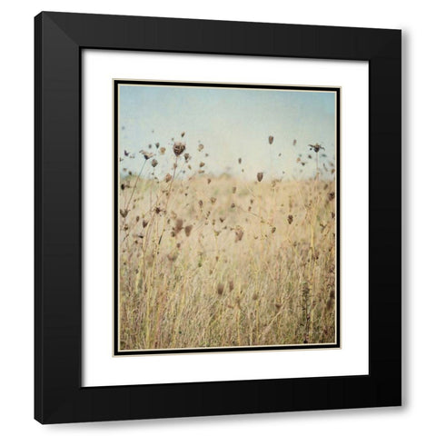 Falling Queen Annes Lace II Crop Black Modern Wood Framed Art Print with Double Matting by Urquhart, Elizabeth