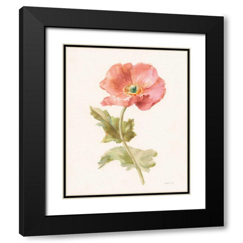 Garden Poppy Black Modern Wood Framed Art Print with Double Matting by Nai, Danhui