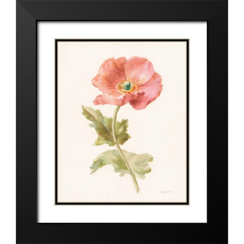 Garden Poppy Black Modern Wood Framed Art Print with Double Matting by Nai, Danhui