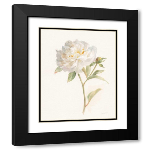 Garden Peony Black Modern Wood Framed Art Print with Double Matting by Nai, Danhui