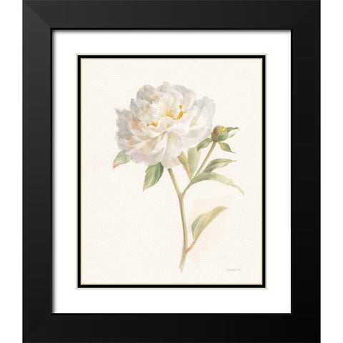 Garden Peony Black Modern Wood Framed Art Print with Double Matting by Nai, Danhui