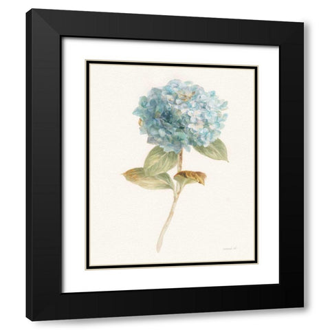 Garden Hydrangea Black Modern Wood Framed Art Print with Double Matting by Nai, Danhui