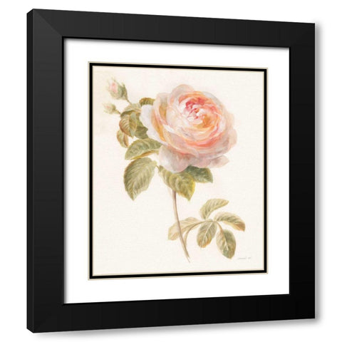 Garden Rose Black Modern Wood Framed Art Print with Double Matting by Nai, Danhui