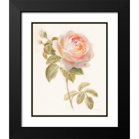 Garden Rose Black Modern Wood Framed Art Print with Double Matting by Nai, Danhui