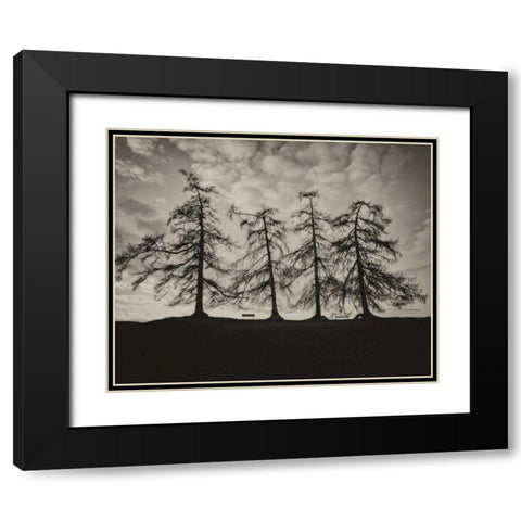 Park Trees Black Modern Wood Framed Art Print with Double Matting by Bevan, Keri