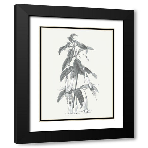 Neutral Botanical I Black Modern Wood Framed Art Print with Double Matting by Wild Apple Portfolio