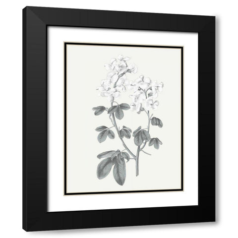 Neutral Botanical III Black Modern Wood Framed Art Print with Double Matting by Wild Apple Portfolio