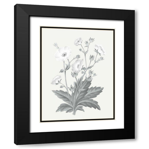 Neutral Botanical VI Black Modern Wood Framed Art Print with Double Matting by Wild Apple Portfolio
