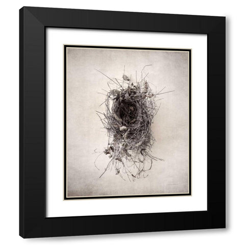 Nest II Black Modern Wood Framed Art Print with Double Matting by Van Swearingen, Debra