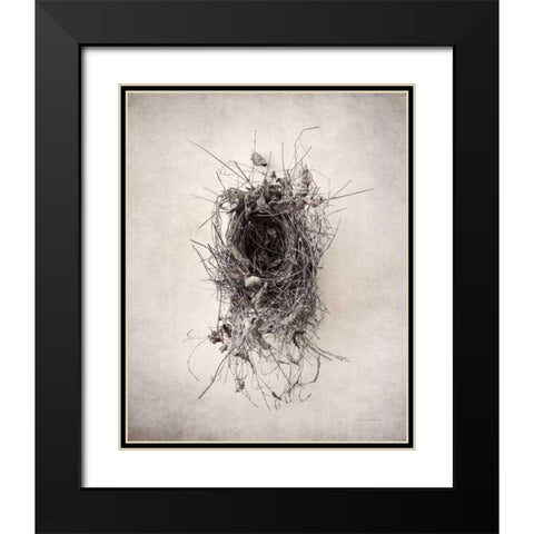 Nest II Black Modern Wood Framed Art Print with Double Matting by Van Swearingen, Debra