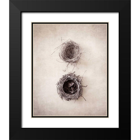 Nest IV Black Modern Wood Framed Art Print with Double Matting by Van Swearingen, Debra